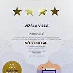 Vizslavilla