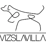 Vakantiehuis Vizslavilla Poroszló