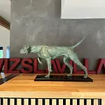 Vizslavilla *