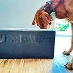 Vakantiehuis Vizslavilla *