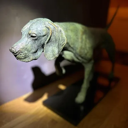 Vizslavilla 펜션 Poroszló