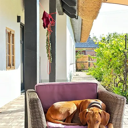 Vizslavilla Holiday home *