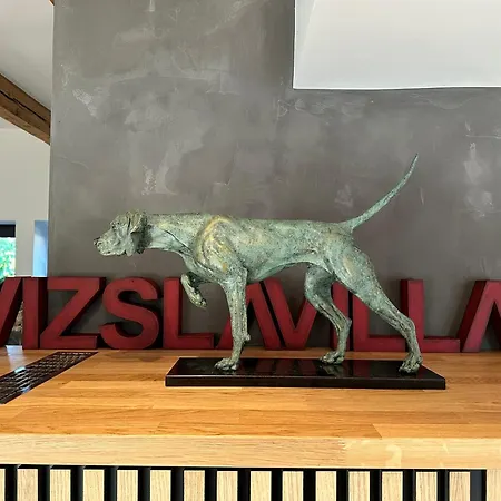 Vizslavilla *