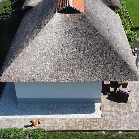 Vizslavilla Holiday home *