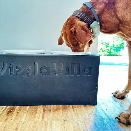 펜션 Vizslavilla *