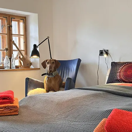 Vizslavilla *