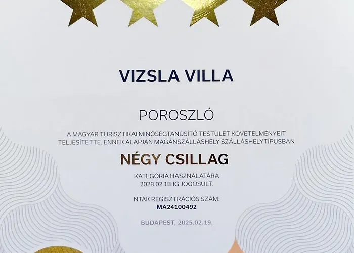 Vizslavilla