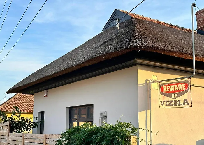 Casa de Férias Vizslavilla