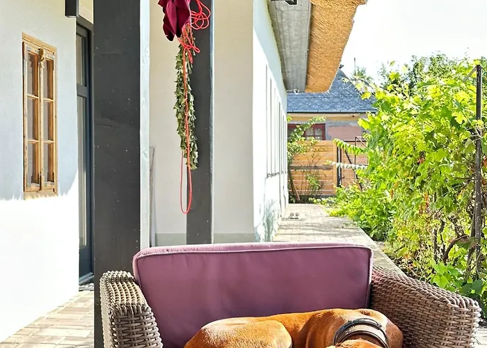 Vizslavilla Casa de Férias *