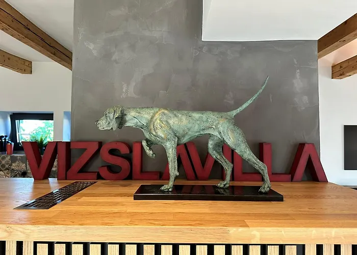 Vizslavilla *