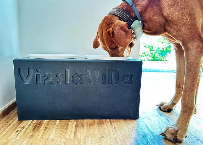 펜션 Vizslavilla *