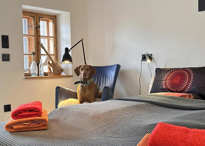 Vizslavilla *